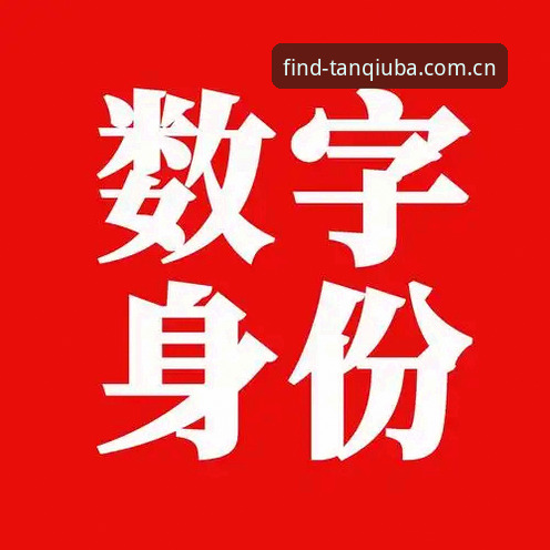 谈球吧官网app vs 第三方渠道：2025正版免费安装与安全下载全面对比